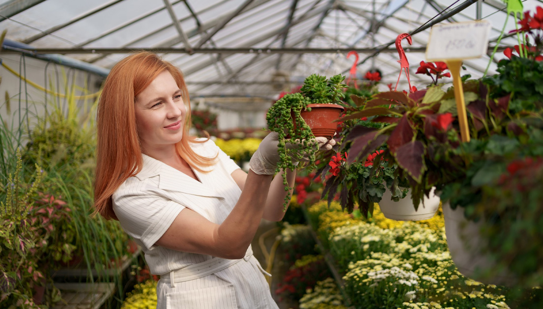Mucho más que plantas: funciones estratégicas de los viveros modernos Mucho más que plantas: funciones estratégicas de los viveros modernos